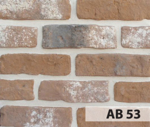 anticbrick_ab53_big