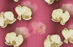 С6БР ГП Грация 10