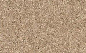 524367462323353255236422452