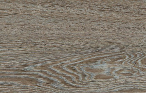 D4841-V4-Dub-Robustus-0_fancybox