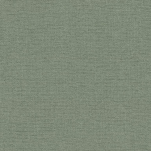 81