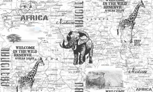 a7dab9d613c4cb2c179bcab0b0358127