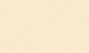 OboiDaErismann60271-04