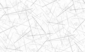 f5d838f0dd2262a330c379d036bb9a94