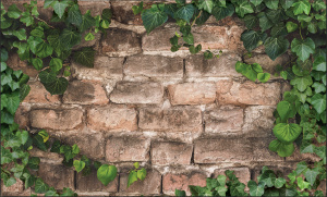 Фартук-панно ПВХ Грейс Зеленый плющ 1002х0,602 (уп.-10шт)