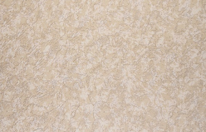 С1БР Океан 2