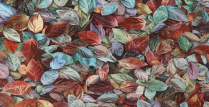 b4fc5ea81ab1809e1e4a42c40bff450e