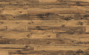 epl043-dub-hanton-svetlyj-1-l487