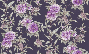 a330e2503eed761f179aa6b56c44f5dd