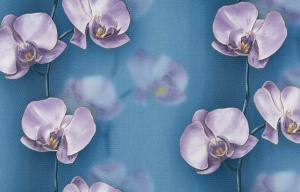 С6БР ГП Грация 1