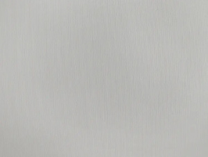 303501
