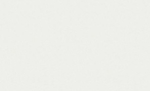 60114-03-oboykin-erismann-fusion-6