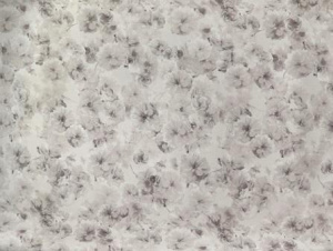 c2c21bb13d40a173087c3ea06b4ba0d2