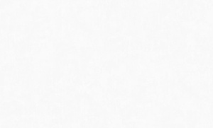 OboiDaErismann60271-01