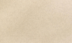 24b50cec01b0ec4759b2dfdf806db235