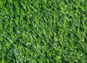 UQS03516.4158152bbe19ccb737a13674bf18cf40 (1)