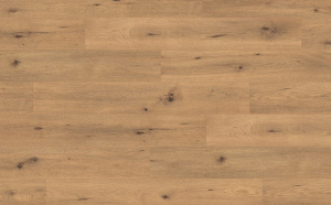 epl182-dikij-dub-naturalnyj-1-l-268