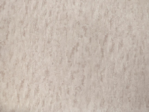 50442c7614648f4e473ace3fa700aa76