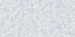 2813-6