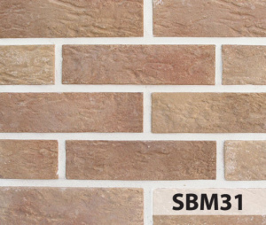 slimbrick_mega_sbm31_big