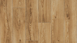 THH_Activa_R_Aurora_1