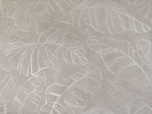 r4dc3pds4fy91n1hl17juxwc1tmkp4om