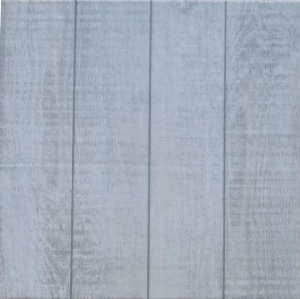 forest_pn_dub_belenyy_lyuks