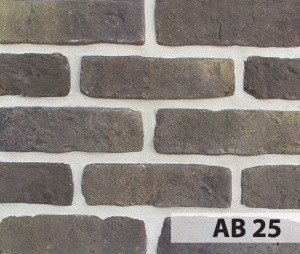anticbrick_ab25_big