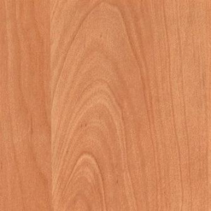 ольха натуральная череповец