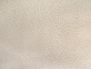 8f4404fb6c999e1d800c002a37609f2f