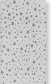 panel-serebrenaya-zvezda