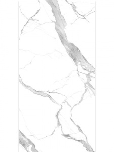 8. аристократ 671