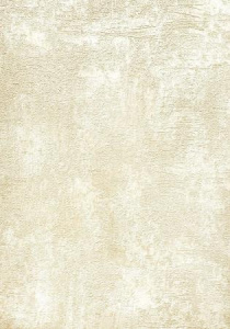 88173857fcba232f8d2737328ab45fe3