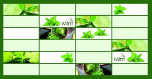 rbmuykx8wj31vvd_38d15323