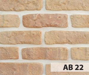 anticbrick_ab22_big