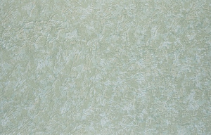 С1БР Океан 11