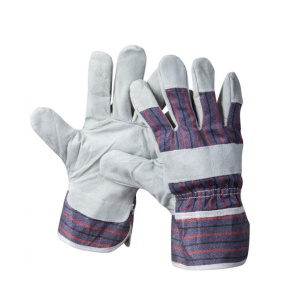 79847350445688854576