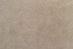 78303
