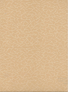 fe7c65c3_0b3f_11e5_8f6e_d485646670dc_ba63c05f_0b45_11e5_8f6e_d485646670dc.resize1