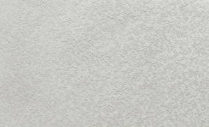 91b744940940105f2734a11deb9fff77