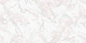 1f676060d711caac9749157aa138e698