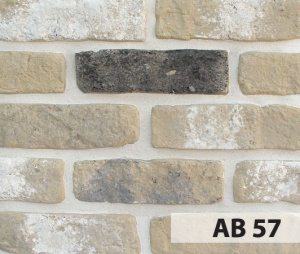 anticbrick_ab57_big