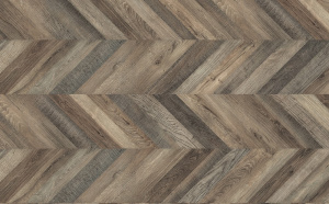 epl013-dub-ripon-tjomnyj-1-l496